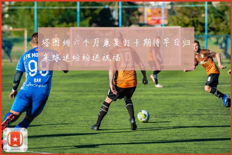 塔图姆六个月康复打卡期待早日归来球迷纷纷送祝福