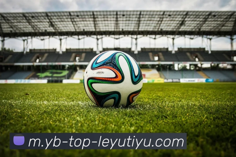 乐鱼体育发展历程